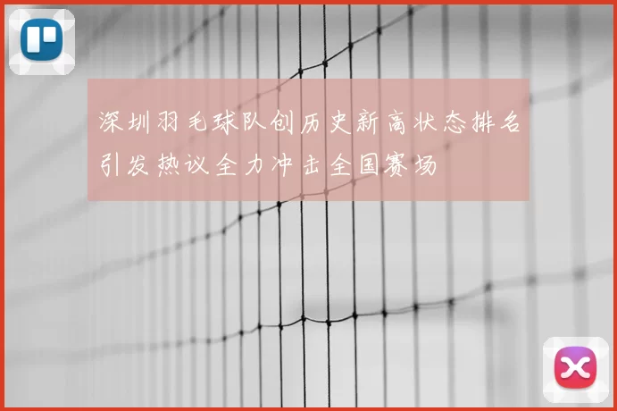 深圳羽毛球队创历史新高状态排名引发热议全力冲击全国赛场
