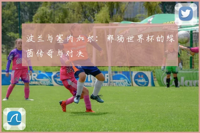 波兰与塞内加尔：那场世界杯的绿茵传奇与对决