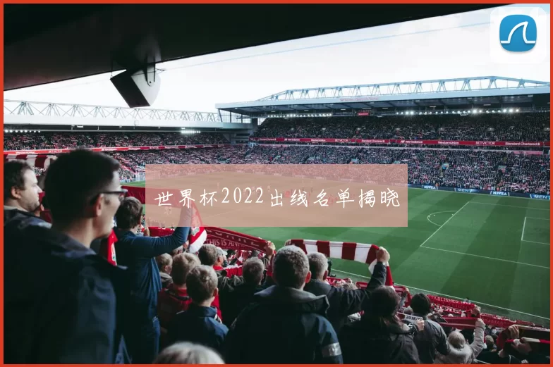 世界杯2022出线名单揭晓