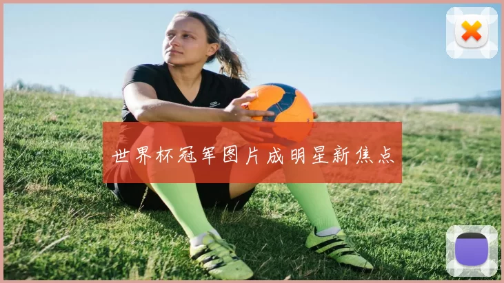 世界杯冠军图片成明星新焦点