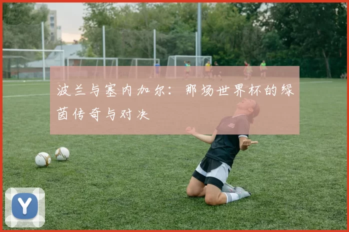 波兰与塞内加尔：那场世界杯的绿茵传奇与对决