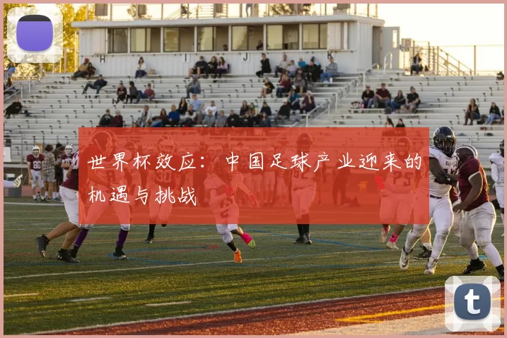 世界杯效应:中国足球产业迎来的机遇与挑战