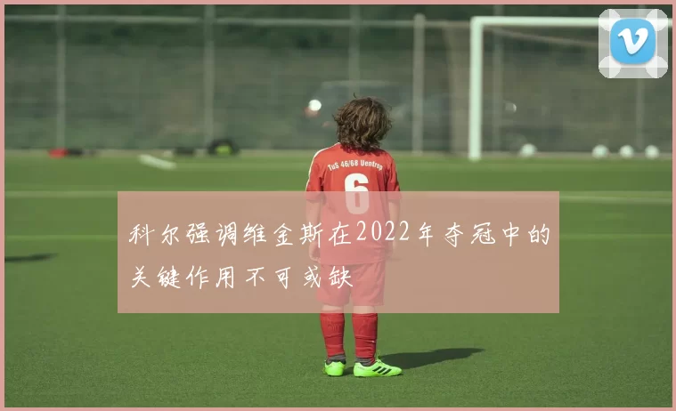 科尔强调维金斯在2022年夺冠中的关键作用不可或缺