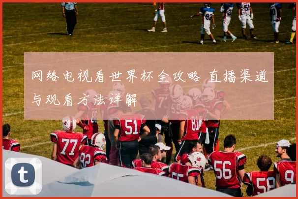 网络电视看世界杯全攻略 直播渠道与观看方法详解