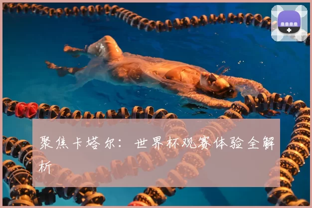 聚焦卡塔尔：世界杯观赛体验全解析