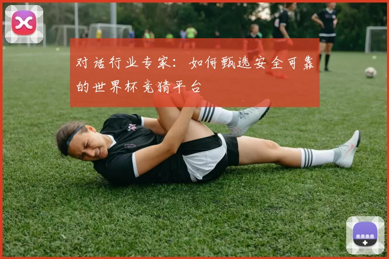 对话行业专家:如何甄选安全可靠的世界杯竞猜平台
