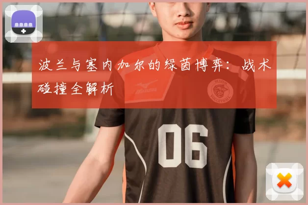 波兰与塞内加尔的绿茵博弈：战术碰撞全解析