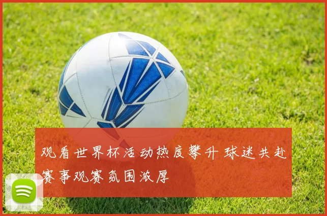 观看世界杯活动热度攀升 球迷共赴赛事观赛氛围浓厚
