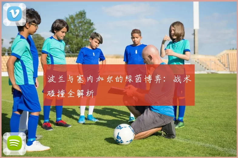 波兰与塞内加尔的绿茵博弈：战术碰撞全解析