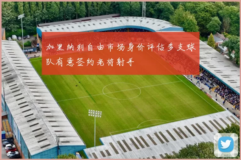 加里纳利自由市场身价评估多支球队有意签约老将射手